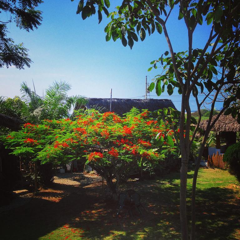 Hostal Los Orishas Ayampe Eksteriør bilde