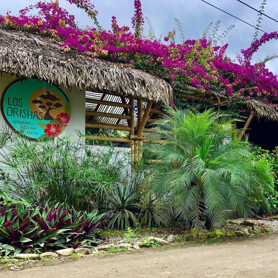 Hostal Los Orishas Ayampe Eksteriør bilde